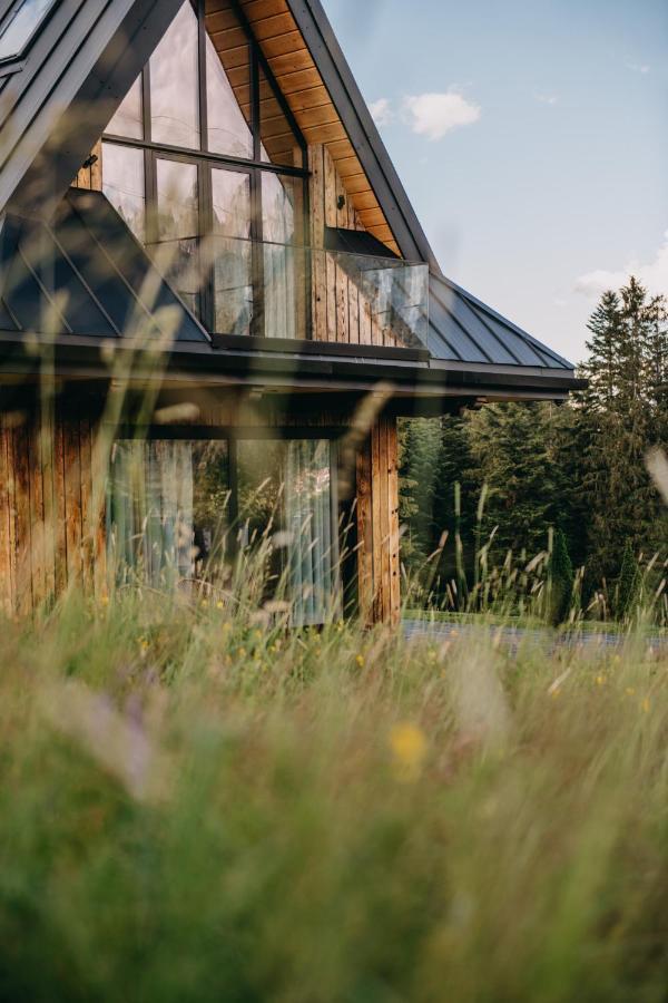 Sywarne Chalet Koscielisko Ngoại thất bức ảnh