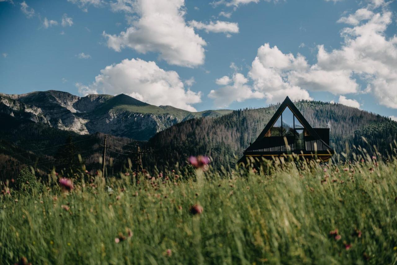 Sywarne Chalet Koscielisko Ngoại thất bức ảnh